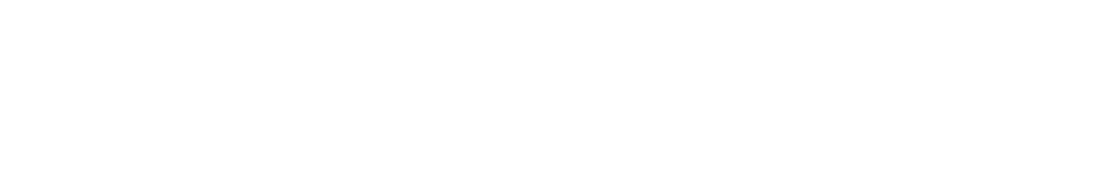 hotel centro logo white.
